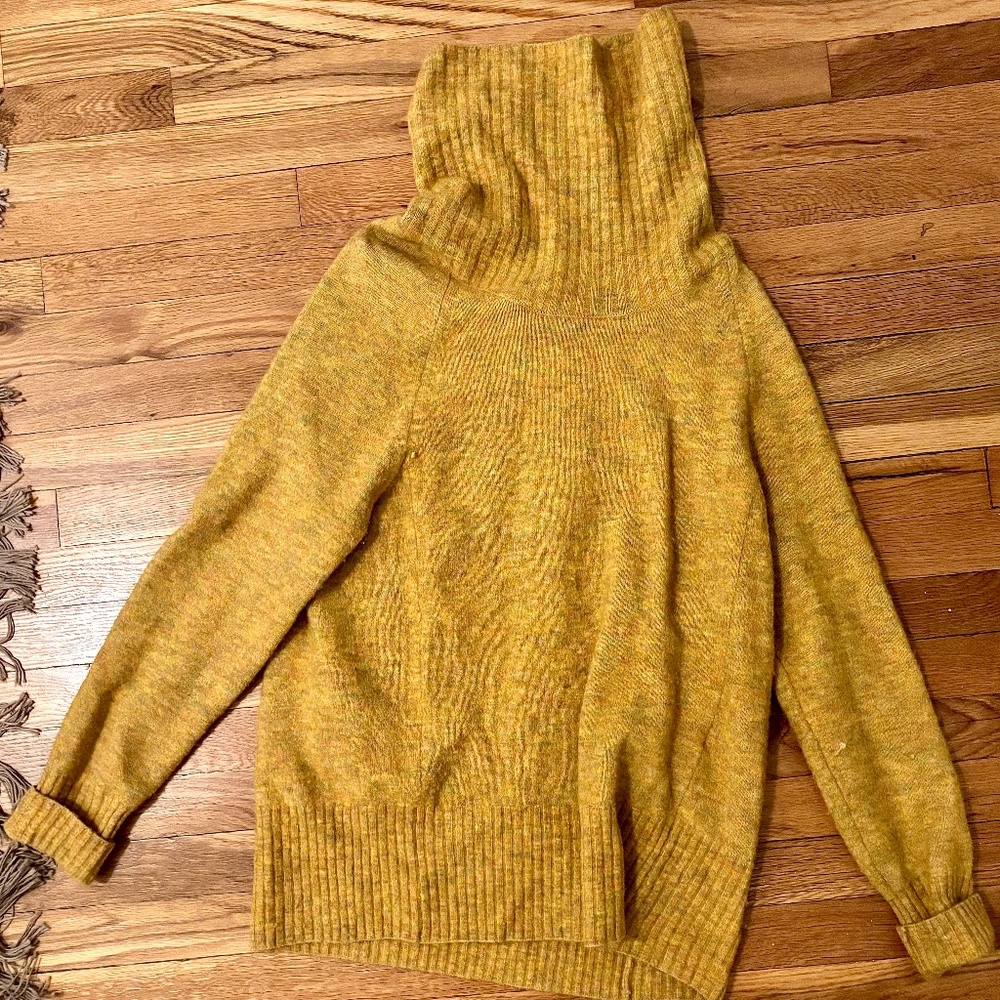 Oversized Turtleneck from Aritzia
